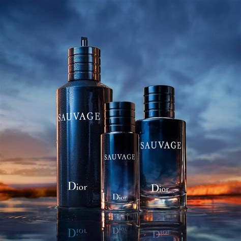 dior sauvage bottle sizes|where to buy sauvage Dior.